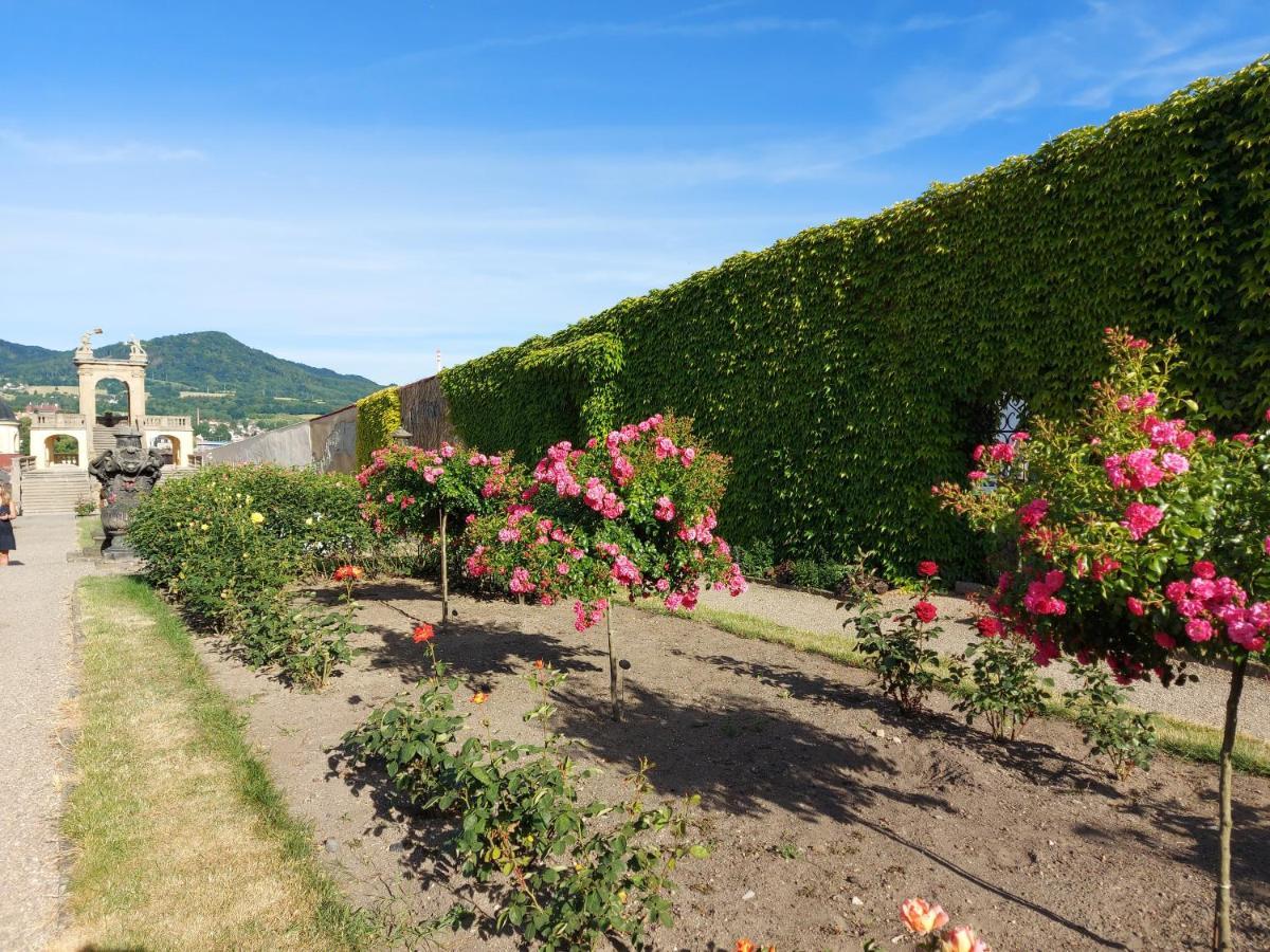 Apartments Rose Garden Decin Exteriör bild
