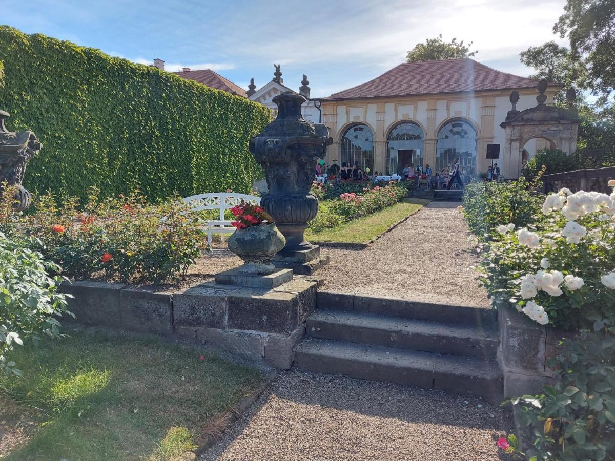 Apartments Rose Garden Decin Exteriör bild